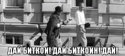 Биткоин придумал Тесла: реакция соцсетей на рекордный рост курса криптовалюты