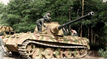 ага, именно ТИГРа и чистят. я понимаю шо тоже из семейства кошачьих, но все же.