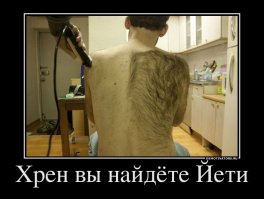 Тайна йети окончательно разрешена после анализа ДНК