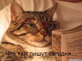 Случай, который заставил меня поверить, что с этим миром точно что-то не так