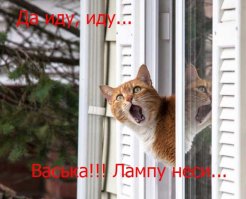 Доказательство невиновности через самоубийство