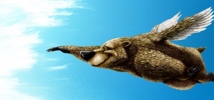 Езда 90 км в час. При чем здесь баклажан, если за рулем гонщег? Стало чуть тоньше и порвалось.