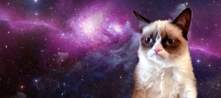 Таки будет "космосрач"  
Все равно никто ничего не знает и
нам это не надо.
Давайте о земном  космосе