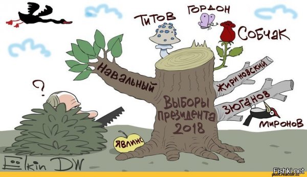 Ксения Собчак не собирается возглавлять страну