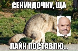 10 самых кассовых российских фильмов (11 фото)