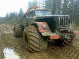 Автовсячина