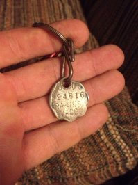 Неправда, тринадцатилетняя собака могла носить такое только один год.