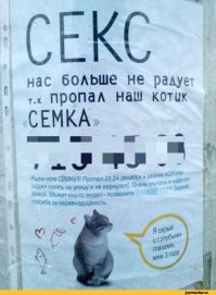 Пошлые гении маркетинга и черный юмор маркетологов