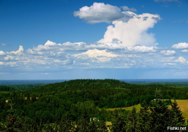 Большая яйцеобразная гора, или Суур-Мунамяги. Самая высокая  гора в Эстонии и в Прибалтике в целом. Высота   318 метров над уровнем моря.