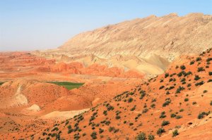 Южный Узбекистан.