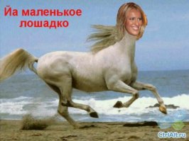 Ксения Собчак не собирается возглавлять страну