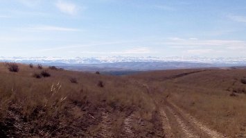 Джунгарский Алатау, Алма-Атинская область, Алакольский район, нет у меня к сожалению хорошего фотика.
