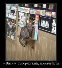Смешные коментарии из соцсетей