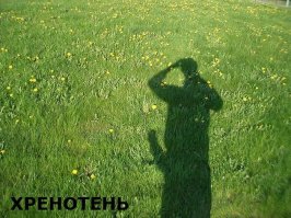 Съедобное или несъедобное?