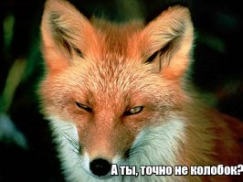 Смешные картинки с надписями