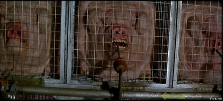 ЕС: шаурме тут не место!