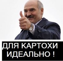 Англичанка нашла тайный бункер на заднем дворе