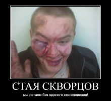 Стая скворцов устраивает невероятные танцы в небе 