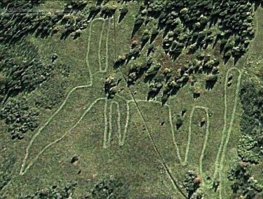 Зюраткуль, геоглиф "Лось".