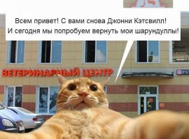 Кэтсвилл сдает лавры. ЭхЪ.