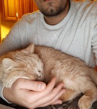 Пытаюсь работать ...