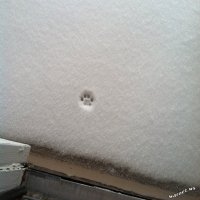 Ну его нахер выглядит так...