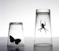 Как доберется улитка, накрыть её стаканом и сверху придавать тяжелым или в сейф закатать?