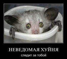 Очень страшные истории в двух предложениях