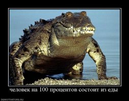 По темным улицам идет ночной дожор