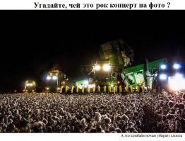 Очередная порция картинок с подписями