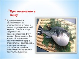 Почему в этот пост не попала Фугу?