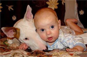 Все бульки лапочки ))