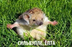 Подпись к первой фото.