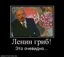 Невероятно странные теории об известных личностях