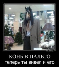 Свежая подборка демотиваторов, которые поднимут вам настроение