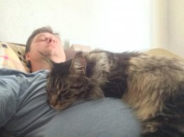 дааже не пытаюсь ))))