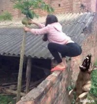 25 фотографий, сделанных за секунду до катастрофы