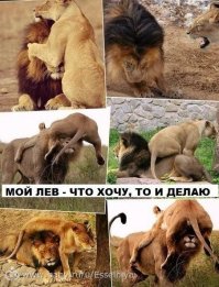 Когда она - та самая