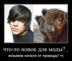 Что вдохновляет людей на дикие наряды и прически