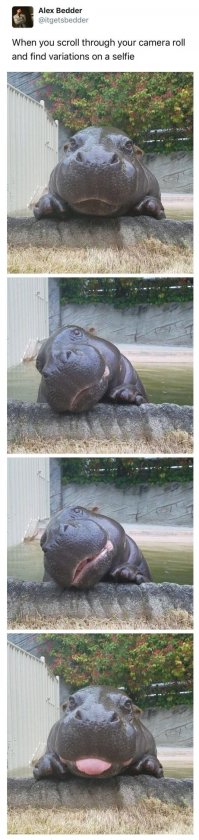 я уже постил в солянке, но...