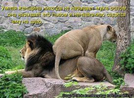 Дополню коллекцию