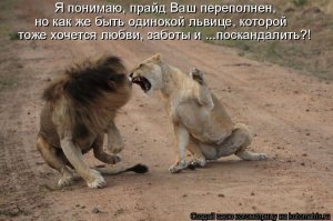 Дополню коллекцию