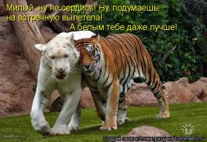 Дополню коллекцию