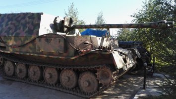 Восстановленный Ферденанд (Или Элефан) Ступинский район Московской области.