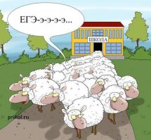 Еще одна жертва современного образования?