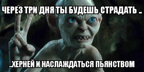 ТОП-5 стереотипов новозеландцев о русских