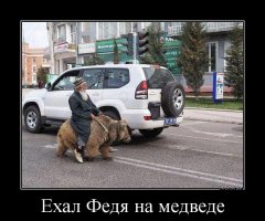 Подборка автомобильных приколов