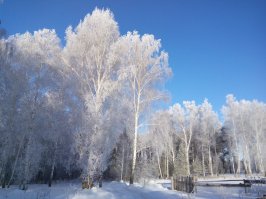 Россия, пригород Кургана, у меня за домом...