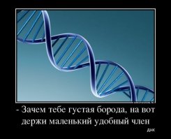 Далеко не всем борода придаёт брутальности