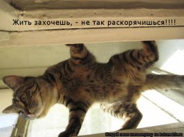 Подборка автомобильных приколов